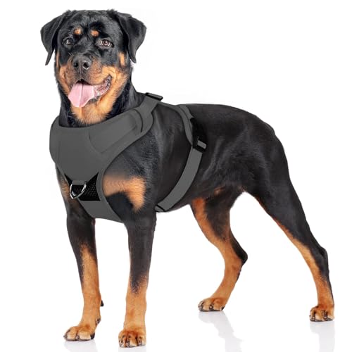 Zuggeschirr Hund, Reflexstreifen Anti Zug Hundegeschirr Mittelgroße Hunde, Verstellbare Hundegeschirr Mit Griff, Atmungsaktiv No Pull Hundegeschirr Für Mittelgroße Hunde Trainierung Spaziergang Zuggeschirr Hund, Reflexstreifen Anti Zug Hundegeschirr Mittelgroße Hunde, Verstellbare Hundegeschirr Mit Griff, Atmungsaktiv No Pull Hundegeschirr Für Mittelgroße Hunde Trainierung Spaziergang von ZESTEFY