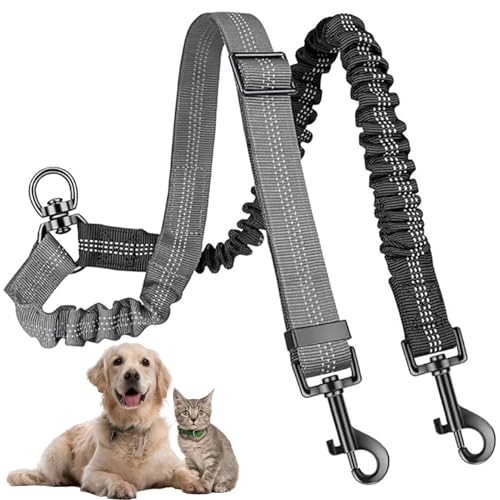 Doppelte Leine für 2 Hunde. Doppelte Leine für 2 Hunde. Doppelte Leine. Doubl verstellbar, 360 ° drehbar, für kleine, mittlere und große Hunde (schwarz + blau) von ZFRITP