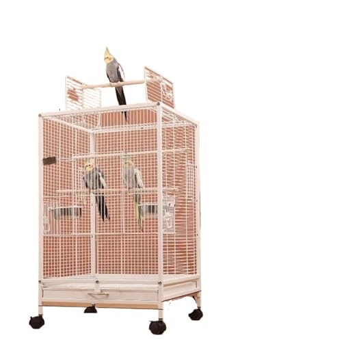 Transparente Vogelkäfige, Papageien-Vogelkäfig, großer Wellensittich-Villa-Zuchtkäfig, Eisen-Vogelnest for den Außenbereich, Haustierzubehör(White) von ZGCrumphant