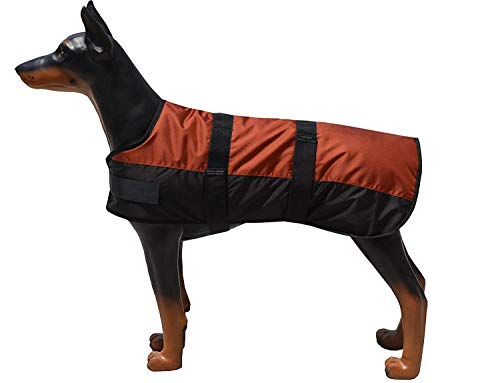 ZGM Hundemantel Eisbär - Rot/Schwarz - 40 cm von ZGM