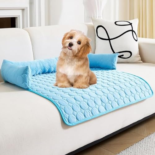 ZGWRYI Kühlendes Sofabett,Sofaschutz Heatrelief kühlendes mit Eisseide,Haustiermatte geeignet für kleine und mittelgroße Katzen und Hunde(Blue,75 * 75cm) von ZGWRYI