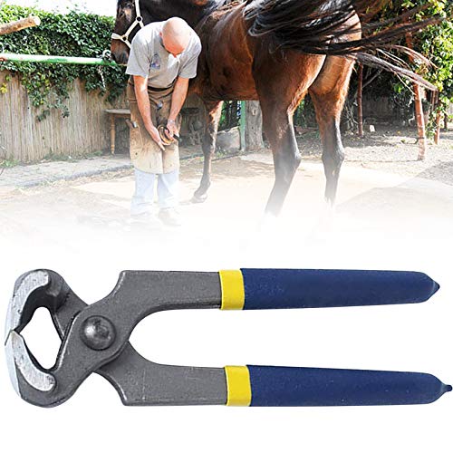 Hufzange für Pferde, Farm & Ranch Nagelzangen Nussknacker Nagelzangen Klauenzangen Nägel Ziehen Kabelzange Schuhreparaturzange Werkzeug, für Tierhufreparatur Hufzange für Pferde, Farm & Ranch Nagelzangen Nussknacker Nagelzangen Klauenzangen Nägel Ziehen Kabelzange Schuhreparaturzange Werkzeug, für Tierhufreparatur von ZH-VBC