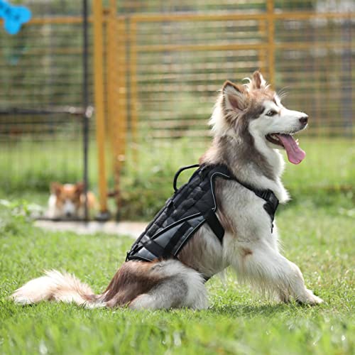 Harness Tactics Hundegeschirr   Oxford Tuch mit Klettverschluss Hundeweste für mittelgroße Hunde Deutscher Schäferhund-L von ZHANGWW