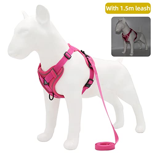 Hundegeschirr mit 150cm Leine Set No Pull Hundeweste Einstellbar Reflektierend Atmungsaktiv Für Hunde-Rose Rot,M von ZHANGWW