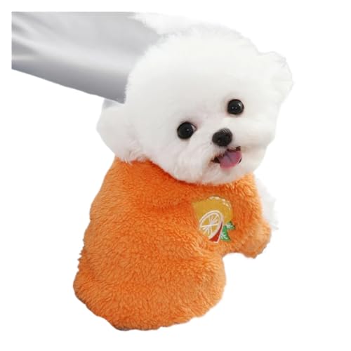 Hundekleidung Warmes Welpenoutfit Chihuahua Haustierkleidung für kleine Hunde Mantel Hoodie Obst Haustierkleidung (Farbe: Orange, Größe: XXL) von ZHAOAM