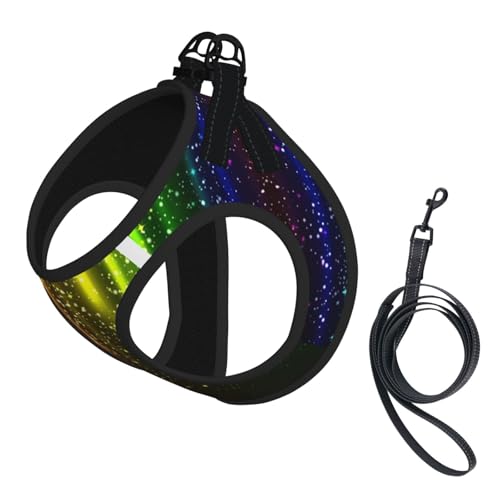 L Leash Hundegeschirr, klein, Regenbogen-Neon-Druck, Haustier-Leinen-Set, reflektierend, für Outdoor und Spaziergänge mit dem Hund von ZHAOUR