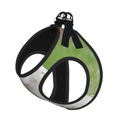 L Leash Hundegeschirr, kleine Größe, Bichon Frisé, Hunde-Druck, Haustier-Leinen-Set, reflektierend, für Outdoor und Spaziergänge mit dem Hund von ZHAOUR