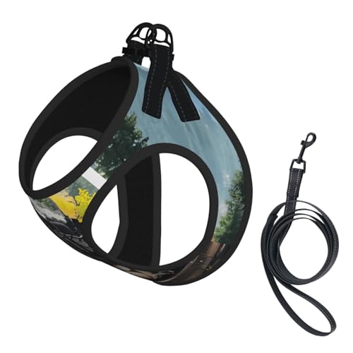 L Leash Hundegeschirr, kleine Größe, Dampfzug-Druck, Haustier-Leinen-Set, reflektierend, für Outdoor und Spaziergänge mit dem Hund L Leash Hundegeschirr, kleine Größe, Dampfzug-Druck, Haustier-Leinen-Set, reflektierend, für Outdoor und Spaziergänge mit dem Hund von ZHAOUR
