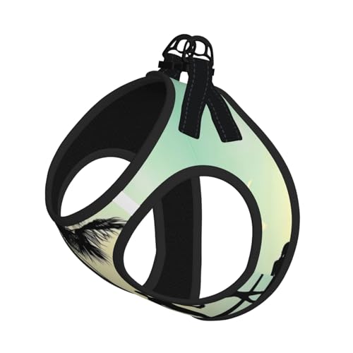 L Leash Hundegeschirr, kleine Größe, Ehepaar, Spaziergänge am Strand, bedruckt, Haustier-Leinen-Set, reflektierend, für Outdoor und Spaziergänge mit dem Hund L Leash Hundegeschirr, kleine Größe, Ehepaar, Spaziergänge am Strand, bedruckt, Haustier-Leinen-Set, reflektierend, für Outdoor und Spaziergänge mit dem Hund von ZHAOUR