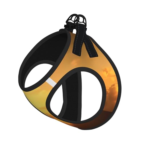 L Leash Hundegeschirr, kleine Größe, Klettern, Sport, bedruckt, Haustier-Leinen-Set, reflektierend, für Outdoor und Spaziergänge mit dem Hund L Leash Hundegeschirr, kleine Größe, Klettern, Sport, bedruckt, Haustier-Leinen-Set, reflektierend, für Outdoor und Spaziergänge mit dem Hund von ZHAOUR
