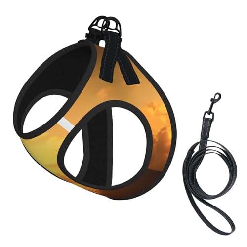 L Leash Hundegeschirr, kleine Größe, Klettern, Sport, bedruckt, Haustier-Leinen-Set, reflektierend, für Outdoor und Spaziergänge mit dem Hund L Leash Hundegeschirr, kleine Größe, Klettern, Sport, bedruckt, Haustier-Leinen-Set, reflektierend, für Outdoor und Spaziergänge mit dem Hund von ZHAOUR