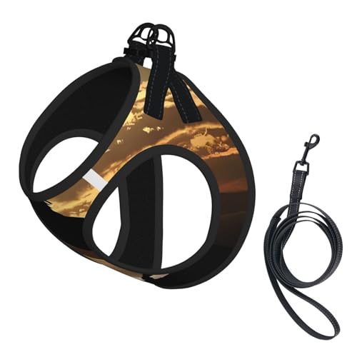 L Leash Hundegeschirr, kleine Größe, Motiv: Sonnenuntergang, Hengst (1) bedruckt, reflektierend, für Outdoor und Spaziergänge mit dem Hund von ZHAOUR