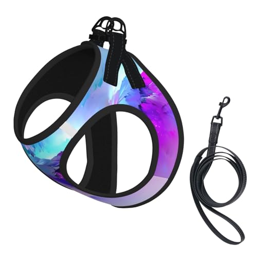 L Leash Hundegeschirr, kleine Größe, Nordlichter, Malerei, Druck, Haustier-Leinen-Set, reflektierend, für Outdoor und Spaziergänge mit dem Hund L Leash Hundegeschirr, kleine Größe, Nordlichter, Malerei, Druck, Haustier-Leinen-Set, reflektierend, für Outdoor und Spaziergänge mit dem Hund von ZHAOUR