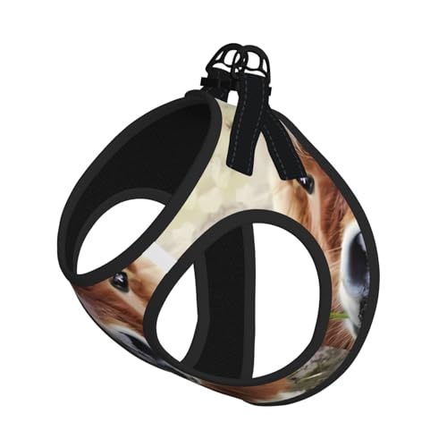 L Leash Hundegeschirr, kleine Größe, Pferd- und Rosenmuster, Haustier-Leinen-Set, reflektierend, für Outdoor und Spaziergänge mit dem Hund L Leash Hundegeschirr, kleine Größe, Pferd- und Rosenmuster, Haustier-Leinen-Set, reflektierend, für Outdoor und Spaziergänge mit dem Hund von ZHAOUR