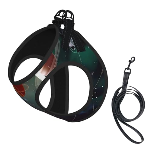 L Leash Hundegeschirr, kleine Größe, Planet, Weltraum, Sonnensystem, bedruckt, Haustier-Leinen-Set, reflektierend, für Outdoor und Spaziergänge mit dem Hund L Leash Hundegeschirr, kleine Größe, Planet, Weltraum, Sonnensystem, bedruckt, Haustier-Leinen-Set, reflektierend, für Outdoor und Spaziergänge mit dem Hund von ZHAOUR