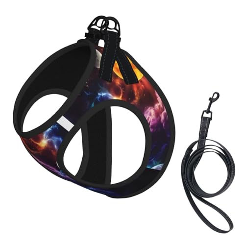 L Leash Hundegeschirr, kleine Größe, Planetendruck, Haustier-Leinen-Set, reflektierend, für Outdoor und Spaziergänge mit dem Hund von ZHAOUR