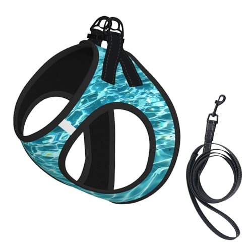 L Leash Hundegeschirr, kleine Größe, Schwimmbad, Wasserdruck, Haustier-Leinen-Set, reflektierend, für Outdoor und Spaziergänge mit dem Hund L Leash Hundegeschirr, kleine Größe, Schwimmbad, Wasserdruck, Haustier-Leinen-Set, reflektierend, für Outdoor und Spaziergänge mit dem Hund von ZHAOUR