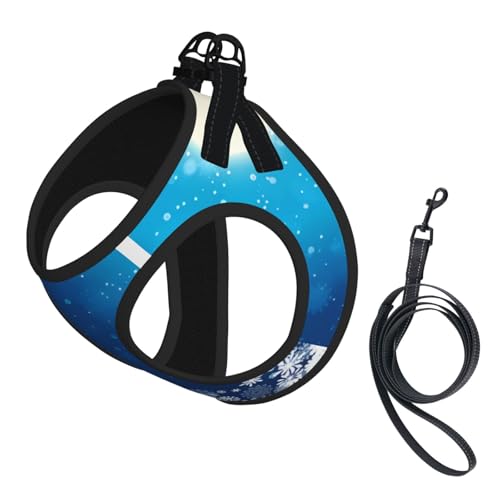 L Leash Hundegeschirr, kleine Größe, blaue Weihnachts-Schneeflocken-Druck, Haustier-Leinen-Set, reflektierend, für Outdoor und Spaziergänge mit dem Hund von ZHAOUR