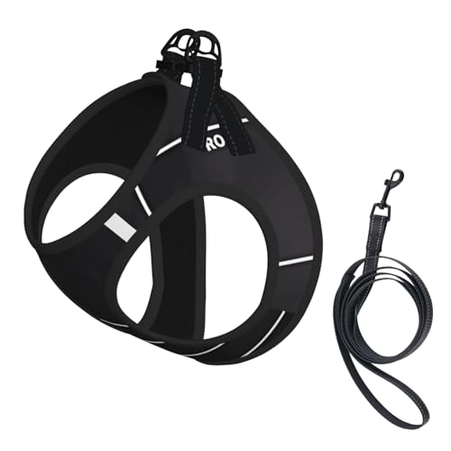 L Leash Hundegeschirr, kleine Größe, klassisches Filmschindel, schwarzer Druck, Haustier-Leinen-Set, reflektierend, für Outdoor und Spaziergänge mit dem Hund L Leash Hundegeschirr, kleine Größe, klassisches Filmschindel, schwarzer Druck, Haustier-Leinen-Set, reflektierend, für Outdoor und Spaziergänge mit dem Hund von ZHAOUR