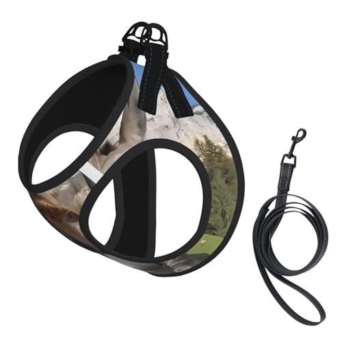 L Leash Hundegeschirr, kleine Größe, lustiger Esel-Druck, reflektierend, für Outdoor und Spaziergänge mit dem Hund von ZHAOUR