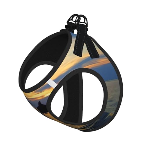 L Leash Hundegeschirr, kleine Größe, lustiges Tier, Delfin-Druck, Haustier-Leinen-Set, reflektierend, für Outdoor und Spaziergänge mit dem Hund von ZHAOUR