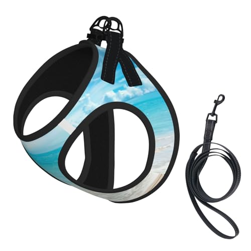 L Leash Hundegeschirr, kleine Größe, malerisches Meerwasser-Druck, Haustier-Leinen-Set, reflektierend, für Outdoor und Spaziergänge mit dem Hund L Leash Hundegeschirr, kleine Größe, malerisches Meerwasser-Druck, Haustier-Leinen-Set, reflektierend, für Outdoor und Spaziergänge mit dem Hund von ZHAOUR