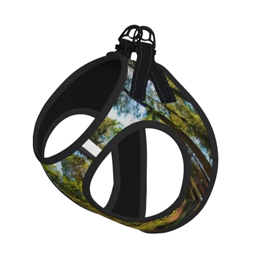L Leash Hundegeschirr, kleine Größe, natürliches Zedernholz, reflektierend, für Outdoor und Spaziergänge mit dem Hund L Leash Hundegeschirr, kleine Größe, natürliches Zedernholz, reflektierend, für Outdoor und Spaziergänge mit dem Hund von ZHAOUR