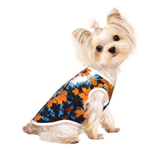 L Pet atmungsaktives ärmelloses T-Shirt – leichtes Herbst-Tanktop mit Blättern, Herbst-Zweigen, Tank-Top-Outfit für kleine und mittelgroße Hunde L Pet atmungsaktives ärmelloses T-Shirt – leichtes Herbst-Tanktop mit Blättern, Herbst-Zweigen, Tank-Top-Outfit für kleine und mittelgroße Hunde von ZHAOUR