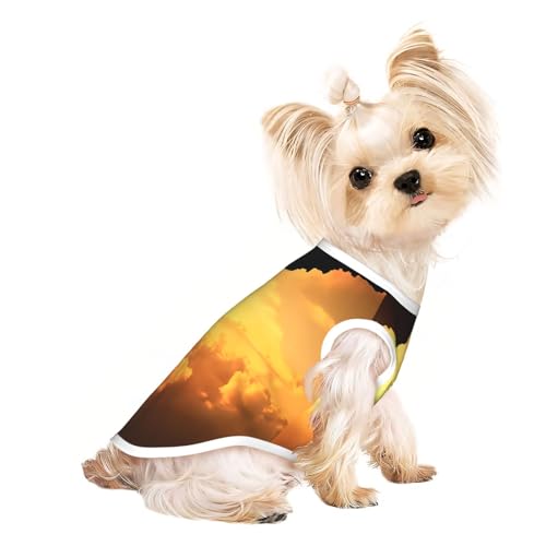 L Pet atmungsaktives ärmelloses T-Shirt – leichtes Klettersport-Tanktop für kleine und mittelgroße Hunde L Pet atmungsaktives ärmelloses T-Shirt – leichtes Klettersport-Tanktop für kleine und mittelgroße Hunde von ZHAOUR