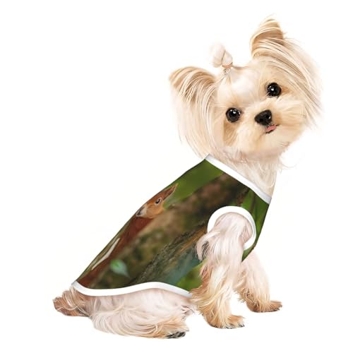L Pet atmungsaktives ärmelloses T-Shirt – leichtes Tanktop mit Eichhörnchen-Print für kleine und mittelgroße Hunde L Pet atmungsaktives ärmelloses T-Shirt – leichtes Tanktop mit Eichhörnchen-Print für kleine und mittelgroße Hunde von ZHAOUR