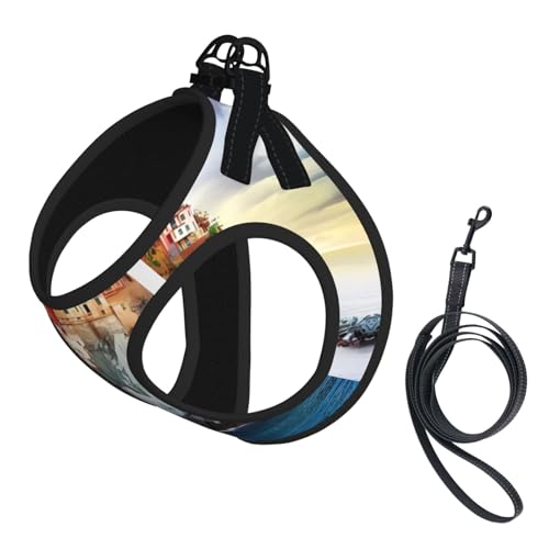 M Leash Hundegeschirr, kleine Größe, Cinque Terre, bedruckt, Haustier-Leinen-Set, reflektierend, für Outdoor und Spaziergänge mit dem Hund von ZHAOUR