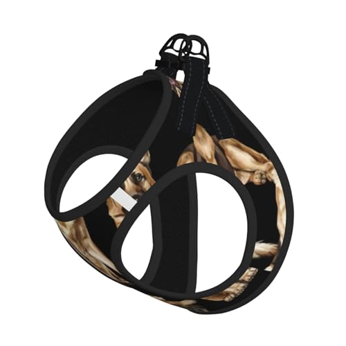 M Leash Hundegeschirr, kleine Größe, Deutscher Schäferhund, Haustier-Leinen-Set, reflektierend, für Outdoor und Spaziergänge mit dem Hund von ZHAOUR