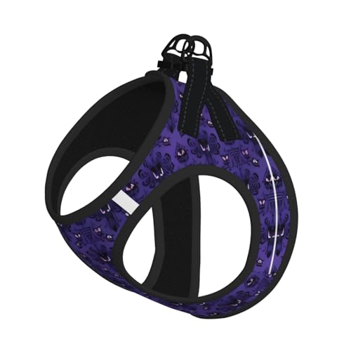 M Leash Hundegeschirr, kleine Größe, Geisterschwärm, reflektierend, für Outdoor und Spaziergänge mit dem Hund von ZHAOUR