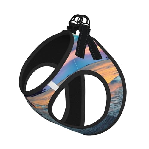 M Leash Hundegeschirr, kleine Größe, Kokosnuss, Strand, Sonnenuntergang, Hängematte, Druck, Haustier-Leinen-Set, reflektierend, für Outdoor und Spaziergänge mit dem Hund von ZHAOUR