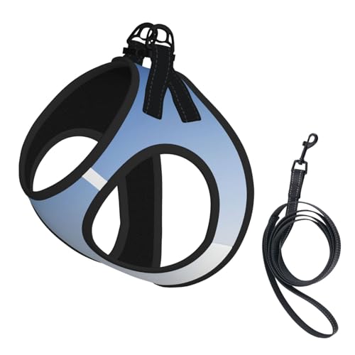 M Leash Hundegeschirr, kleine Größe, Ombré-strukturiert, blauer Druck, Haustier-Leinen-Set, reflektierend, für Outdoor und Spaziergänge mit dem Hund M Leash Hundegeschirr, kleine Größe, Ombré-strukturiert, blauer Druck, Haustier-Leinen-Set, reflektierend, für Outdoor und Spaziergänge mit dem Hund von ZHAOUR
