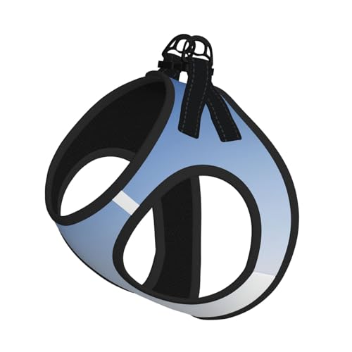 M Leash Hundegeschirr, kleine Größe, Ombré-strukturiert, blauer Druck, Haustier-Leinen-Set, reflektierend, für Outdoor und Spaziergänge mit dem Hund M Leash Hundegeschirr, kleine Größe, Ombré-strukturiert, blauer Druck, Haustier-Leinen-Set, reflektierend, für Outdoor und Spaziergänge mit dem Hund von ZHAOUR