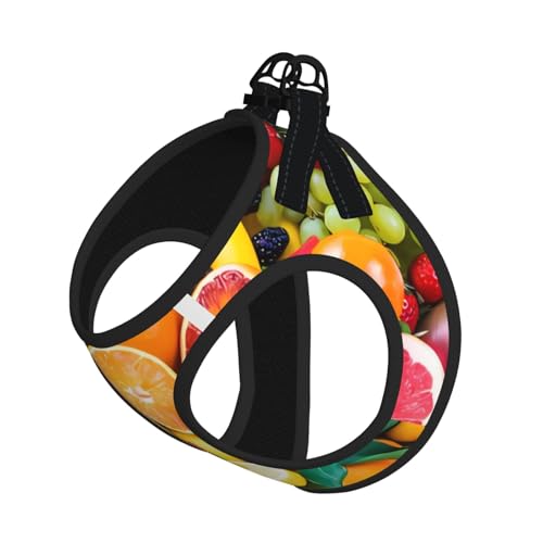 M Leash Hundegeschirr, kleine Größe, mit frischem Obstdruck, reflektierend, für Outdoor und Spaziergänge mit dem Hund M Leash Hundegeschirr, kleine Größe, mit frischem Obstdruck, reflektierend, für Outdoor und Spaziergänge mit dem Hund von ZHAOUR