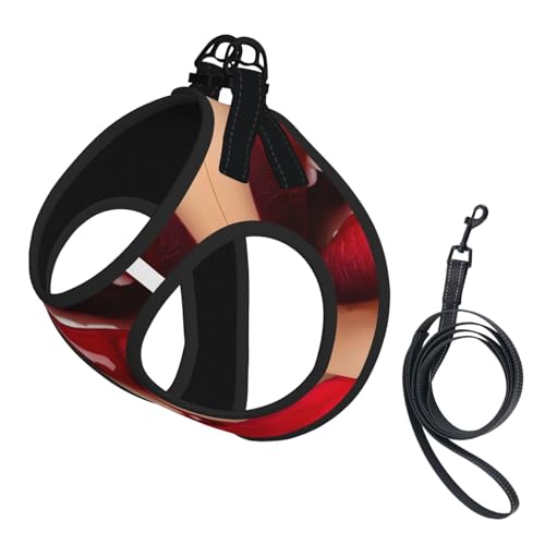 M Leash Hundegeschirr, kleine Größe, rote Lippen, reflektierend, für Outdoor und Spaziergänge mit dem Hund M Leash Hundegeschirr, kleine Größe, rote Lippen, reflektierend, für Outdoor und Spaziergänge mit dem Hund von ZHAOUR
