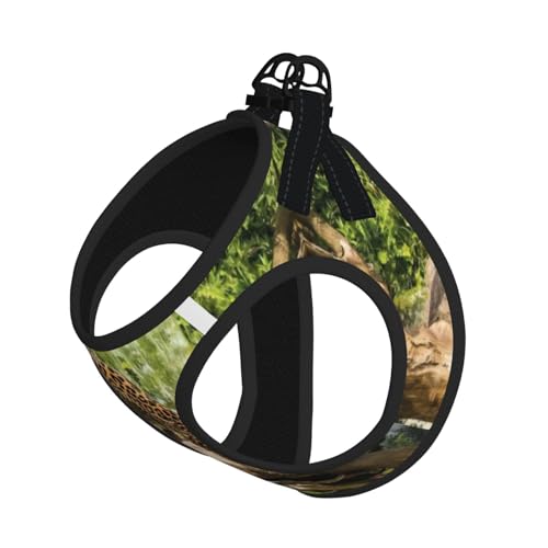 M Leash Hundegeschirr, kleiner Panther auf Baumstamm, Wasserfall-Druck, Haustier-Leinen-Set, reflektierend, für Outdoor und Spaziergänge mit dem Hund M Leash Hundegeschirr, kleiner Panther auf Baumstamm, Wasserfall-Druck, Haustier-Leinen-Set, reflektierend, für Outdoor und Spaziergänge mit dem Hund von ZHAOUR