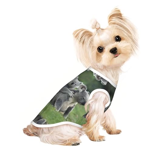M Pet atmungsaktives ärmelloses T-Shirt – leichtes, süßes Koalabär-Druck-Tanktop für kleine und mittelgroße Hunde M Pet atmungsaktives ärmelloses T-Shirt – leichtes, süßes Koalabär-Druck-Tanktop für kleine und mittelgroße Hunde von ZHAOUR