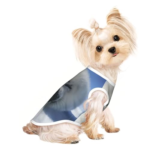 M Pet atmungsaktives ärmelloses T-Shirt – leichtes Tanktop mit Eisbär-Print für kleine und mittelgroße Hunde M Pet atmungsaktives ärmelloses T-Shirt – leichtes Tanktop mit Eisbär-Print für kleine und mittelgroße Hunde von ZHAOUR