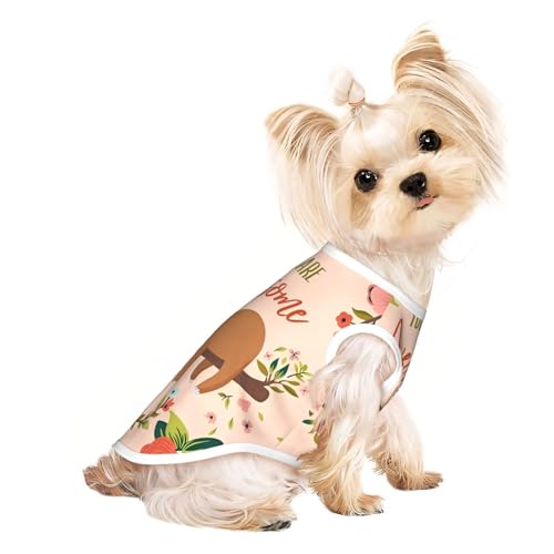 M Pet atmungsaktives ärmelloses T-Shirt – leichtes "You Are Awesome"-Tanktop mit Faultier-Print für kleine und mittelgroße Hunde M Pet atmungsaktives ärmelloses T-Shirt – leichtes "You Are Awesome"-Tanktop mit Faultier-Print für kleine und mittelgroße Hunde von ZHAOUR