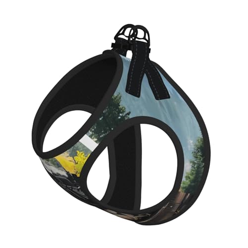 S Leash Hundegeschirr, kleine Größe, Dampfzug-Druck, Haustier-Leinen-Set, reflektierend, für Outdoor und Spaziergänge mit dem Hund S Leash Hundegeschirr, kleine Größe, Dampfzug-Druck, Haustier-Leinen-Set, reflektierend, für Outdoor und Spaziergänge mit dem Hund von ZHAOUR