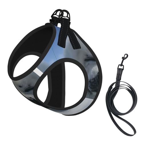S Leash Hundegeschirr, kleine Größe, Eisbär-Druck, Haustier-Leinen-Set, reflektierend, für Outdoor und Spaziergänge mit dem Hund S Leash Hundegeschirr, kleine Größe, Eisbär-Druck, Haustier-Leinen-Set, reflektierend, für Outdoor und Spaziergänge mit dem Hund von ZHAOUR