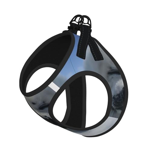 S Leash Hundegeschirr, kleine Größe, Eisbär-Druck, Haustier-Leinen-Set, reflektierend, für Outdoor und Spaziergänge mit dem Hund S Leash Hundegeschirr, kleine Größe, Eisbär-Druck, Haustier-Leinen-Set, reflektierend, für Outdoor und Spaziergänge mit dem Hund von ZHAOUR