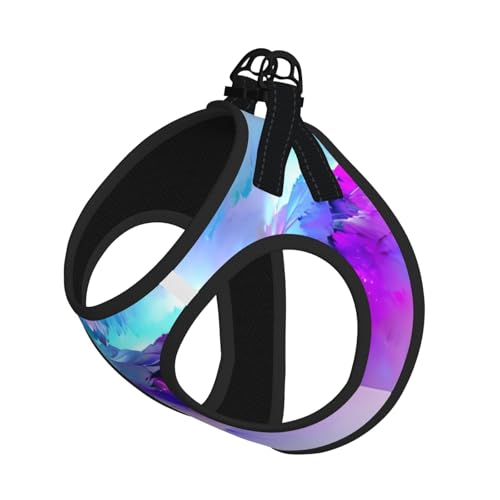 S Leash Hundegeschirr, kleine Größe, Nordlichter, Malerei, Druck, Haustier-Leinen-Set, reflektierend, für Outdoor und Spaziergänge mit dem Hund S Leash Hundegeschirr, kleine Größe, Nordlichter, Malerei, Druck, Haustier-Leinen-Set, reflektierend, für Outdoor und Spaziergänge mit dem Hund von ZHAOUR
