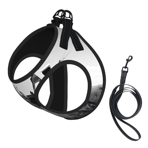 S Leash Hundegeschirr, kleine Größe, Traktor, Landwirtschaft, ruhiger Druck, Haustier-Leinen-Set, reflektierend, für Outdoor und Spaziergänge mit dem Hund S Leash Hundegeschirr, kleine Größe, Traktor, Landwirtschaft, ruhiger Druck, Haustier-Leinen-Set, reflektierend, für Outdoor und Spaziergänge mit dem Hund von ZHAOUR