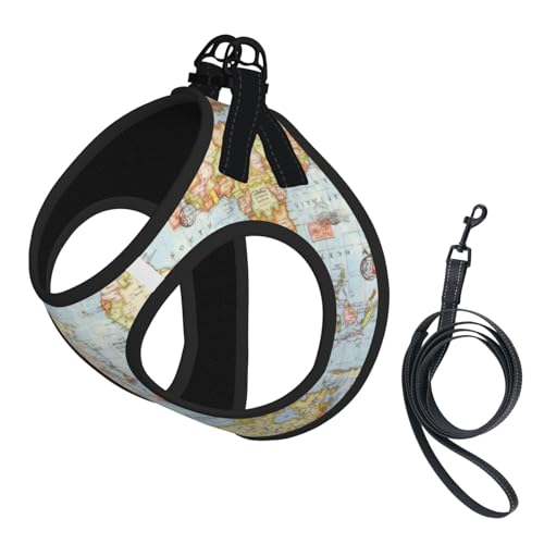 S Leash Hundegeschirr, kleine Größe, Weltkarten-Druck, Haustier-Leinen-Set, reflektierend, für Outdoor und Spaziergänge mit dem Hund von ZHAOUR