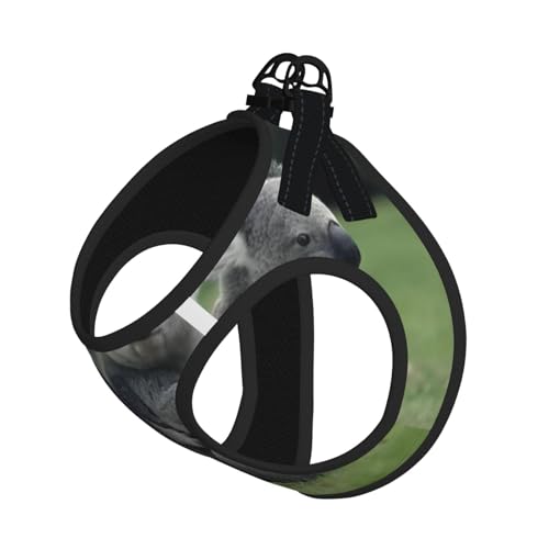 S Leash Hundegeschirr, kleine Größe, niedlicher Koalabär-Druck, Haustier-Leinen-Set, reflektierend, für Outdoor und Spaziergänge mit dem Hund von ZHAOUR