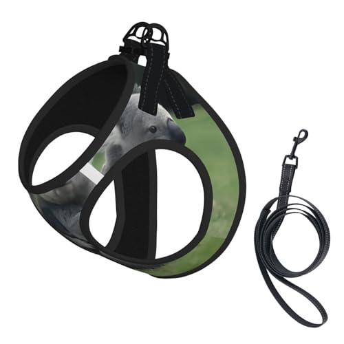 S Leash Hundegeschirr, kleine Größe, niedlicher Koalabär-Druck, Haustier-Leinen-Set, reflektierend, für Outdoor und Spaziergänge mit dem Hund von ZHAOUR